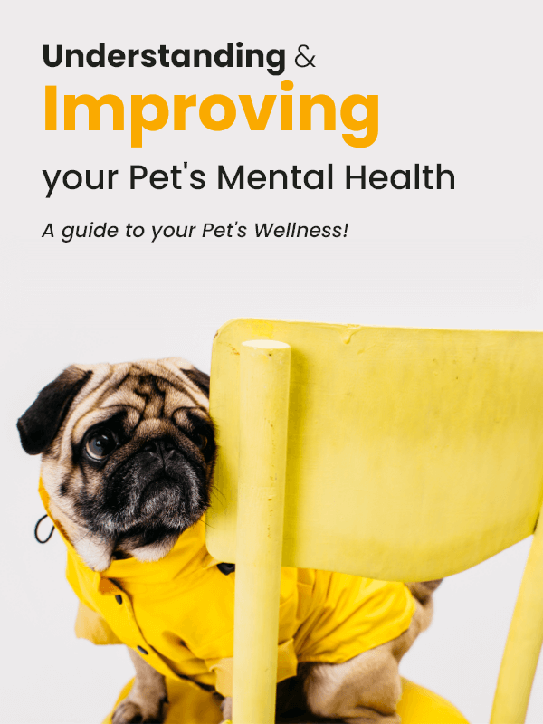 understanding & improving your pets mental health